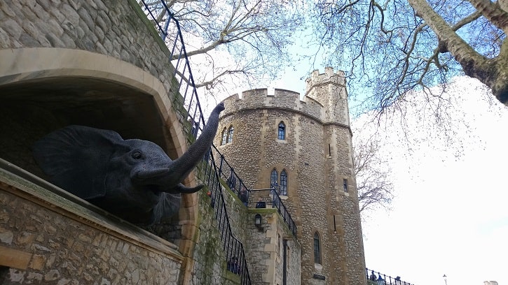 Royal beasts of the tower of london