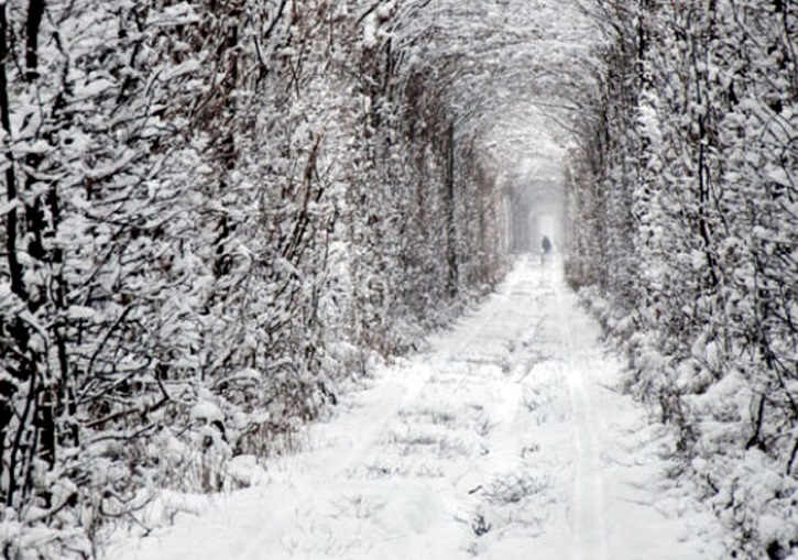 Tunel del amor en invierno