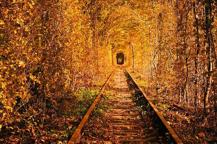tunel del amor en otoño
