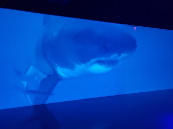 pantalla gigante en el acuario interactivo de mexico