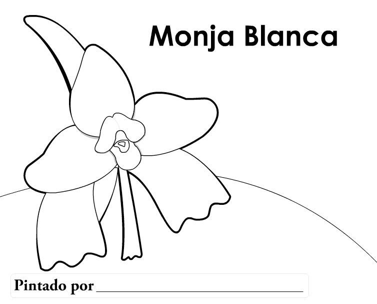 Símbolos patrios de Guatemala: Monja Blanca