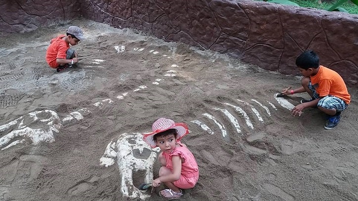 Areá de excavación de dinosaurios